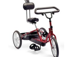 Triciclo Adaptável Rifton